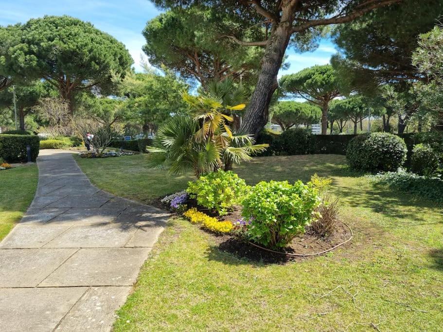 Superbe T2 Tout Confort 3 Etoiles, Entierement Renove Avec Piscine, Parking, Clim, Wifi, Netflix La Grande-Motte Exterior foto